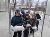 Труд на зимней прогулке. Труд на зимней прогулке.